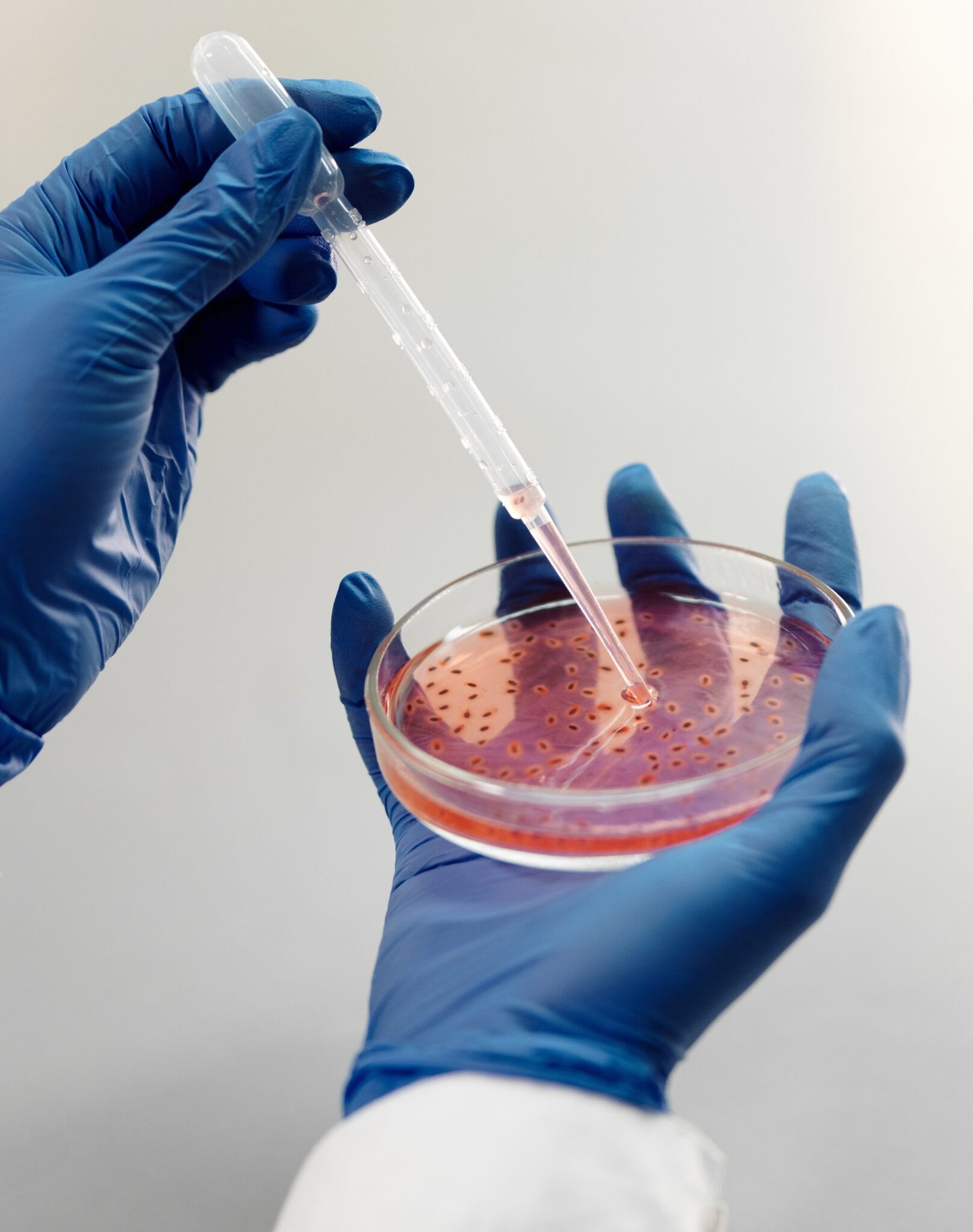 Pipeta Pasteur con bulbo Envidrio Tu Solución en Envases